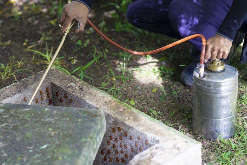 Cockroach Fumigation