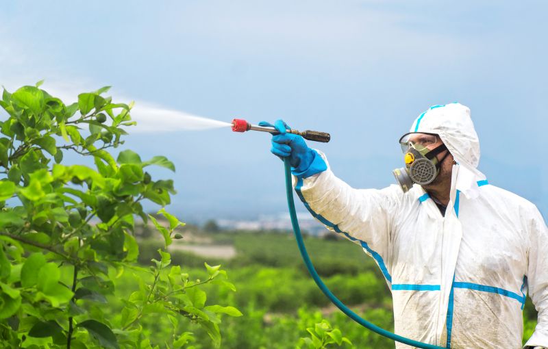 Fumigation Service