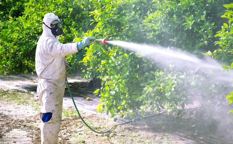 Roach Fumigation in Cumming, GA